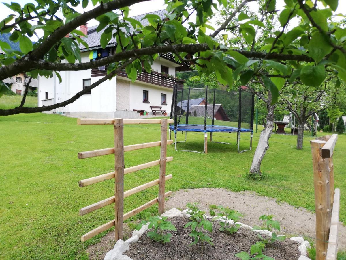 Soba Pri Bregarju Apartment Bohinj Luaran gambar