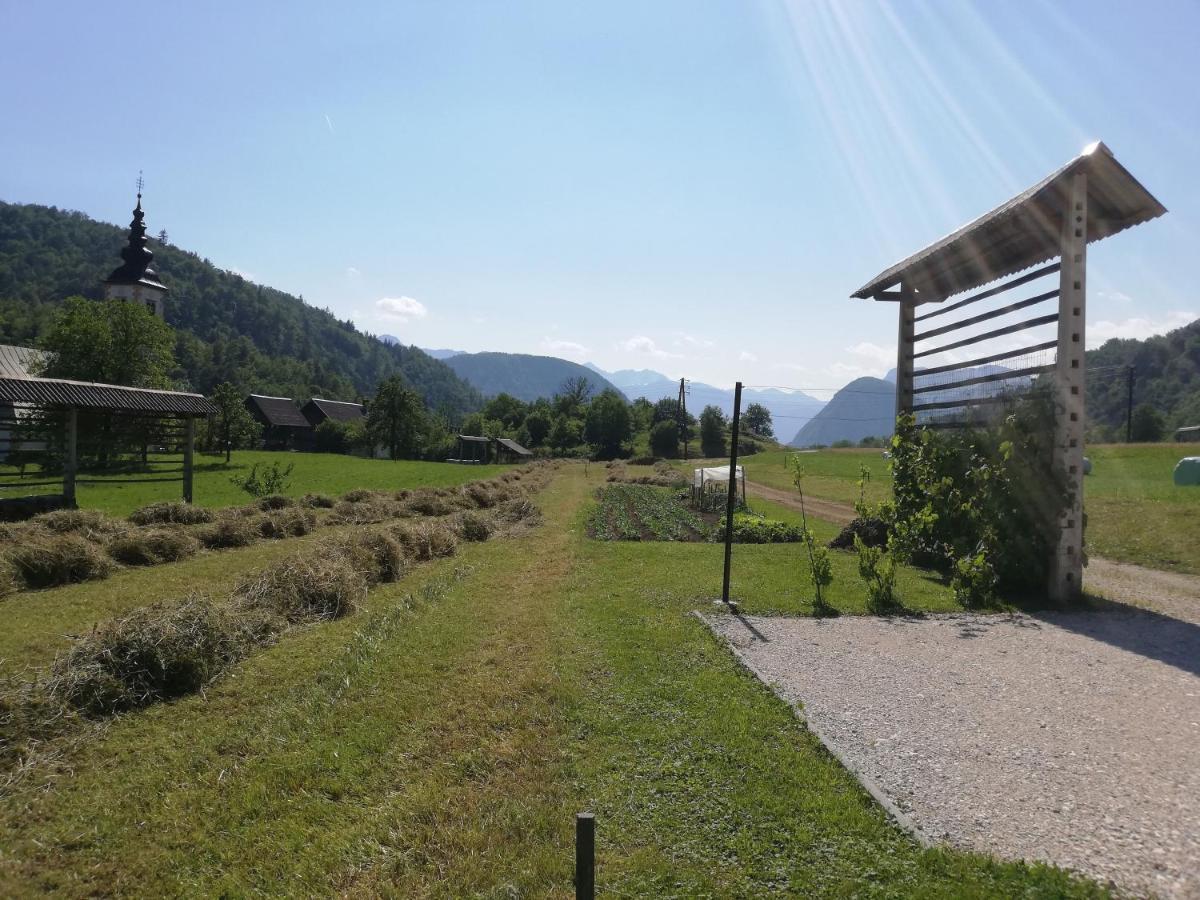 Soba Pri Bregarju Apartment Bohinj Luaran gambar