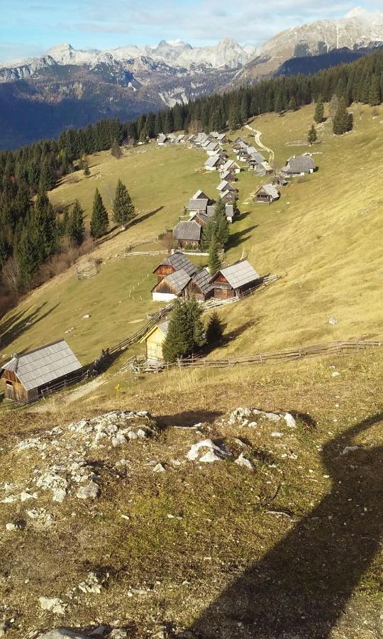 Soba Pri Bregarju Apartment Bohinj Luaran gambar