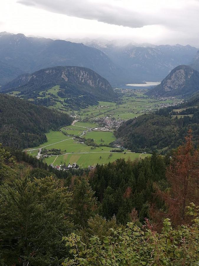 Soba Pri Bregarju Apartment Bohinj Luaran gambar