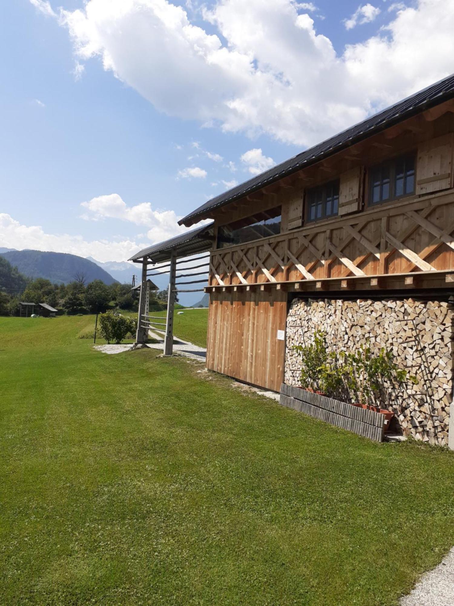 Soba Pri Bregarju Apartment Bohinj Luaran gambar